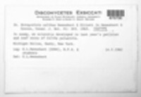 Image Associated With the Occurence
